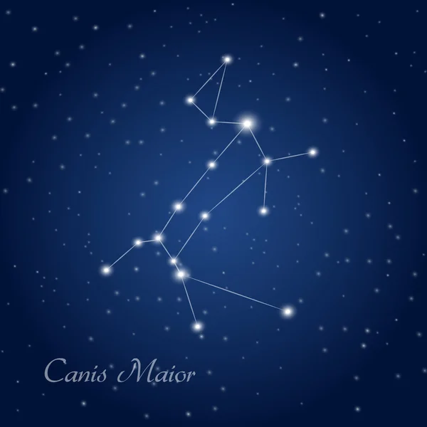 Constellation de Canis Maior — Image vectorielle