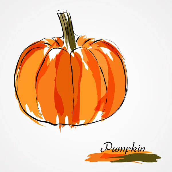 Fruta de calabaza — Vector de stock