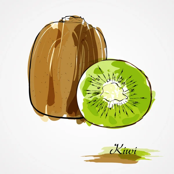 Kiwi fruit slice — Stock Vector