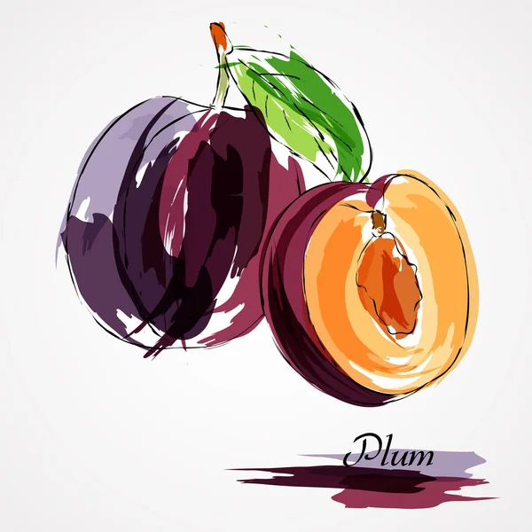 Plum fruits — Stock Vector