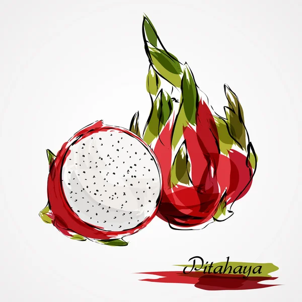 Pitahaya частини — стоковий вектор