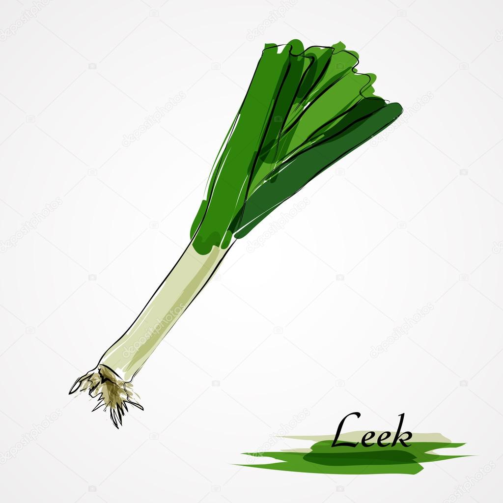 Leek