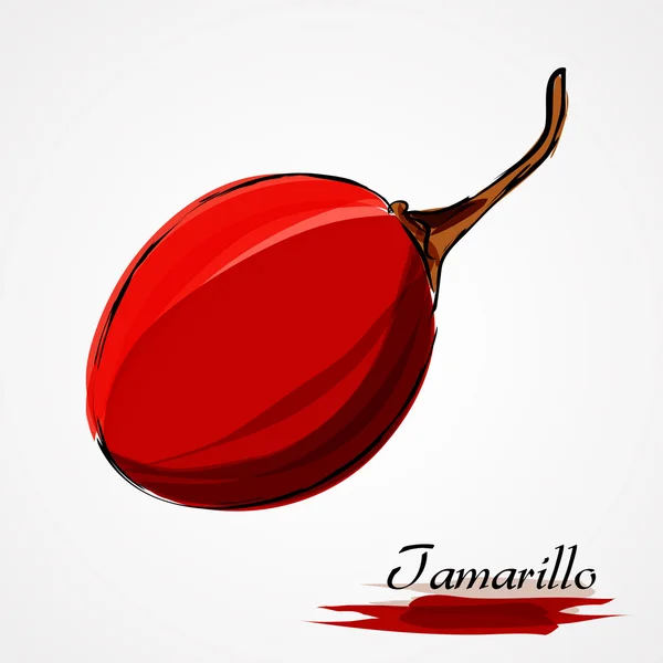 Tamarillo — Stockvektor