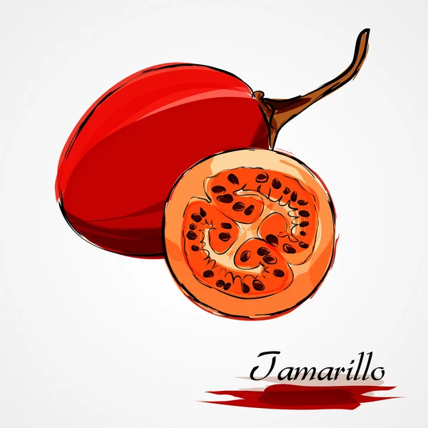 Tamarillo-Frucht — Stockvektor