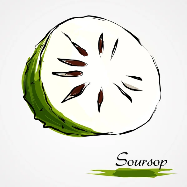 Soursop, guanabana — 스톡 벡터