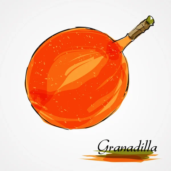 Granadilla — Vector de stock