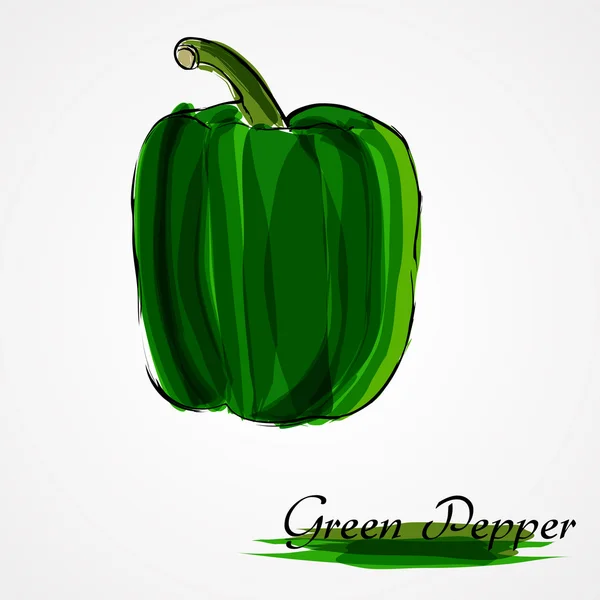 Green pepper — Stock Vector