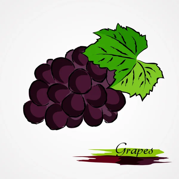 Grapes — Stock Vector