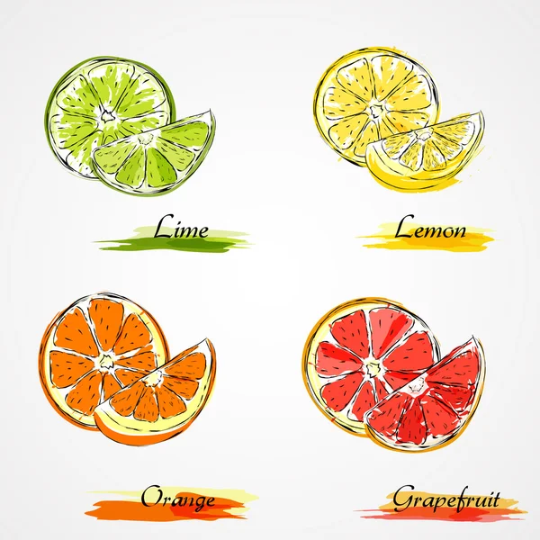 矢量柑橘类水果 — 图库矢量图片
