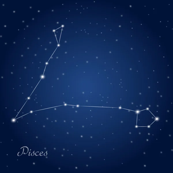 The constellation 