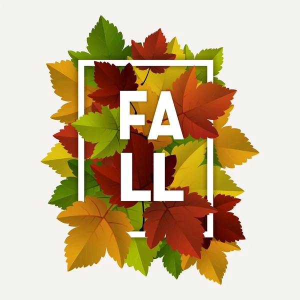 Fall decoration — Stock Vector