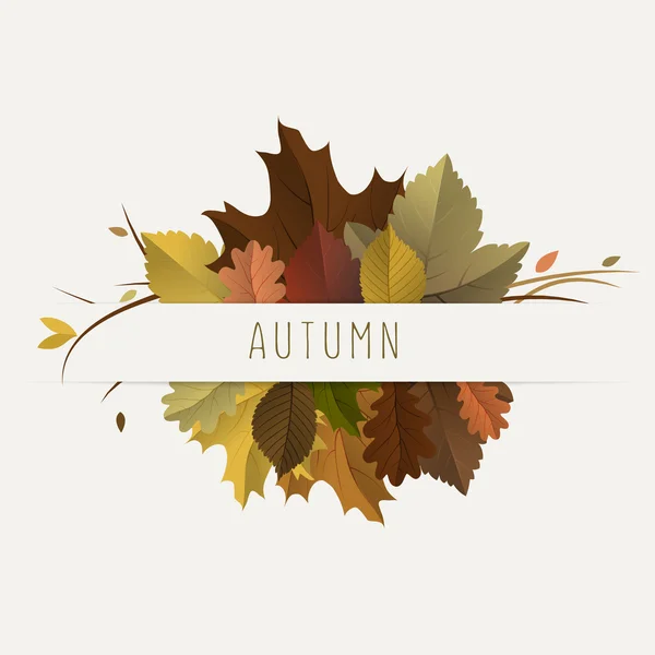 Decoração de outono —  Vetores de Stock