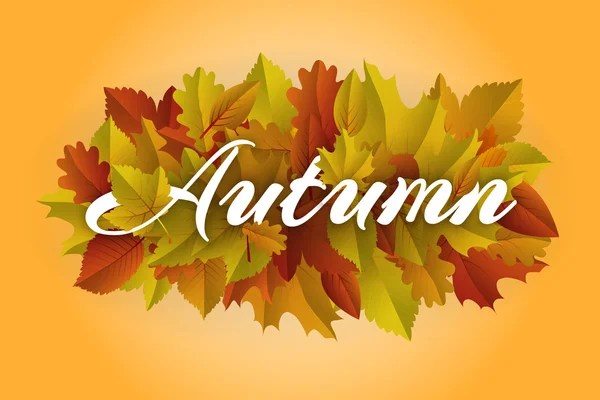 Cubierta de otoño — Archivo Imágenes Vectoriales