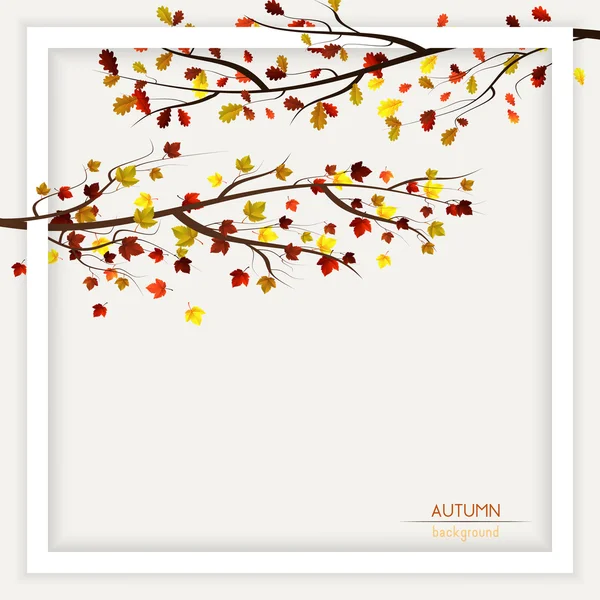 Herfst decoratie — Stockvector