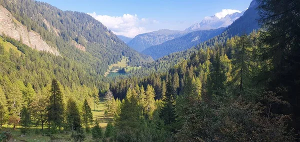 Zielony natura dolina w Trention Brenta Włochy — Zdjęcie stockowe