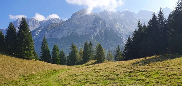 green nature valley in trention brenta italy