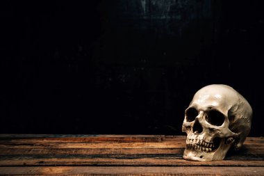 Eski ahşap arka plan üzerinde insan kafatası