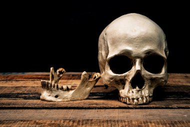 İnsan kafatası eski ahşap zemin üzerine; Natürmort