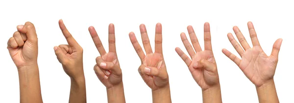 Beyaz arka plan üzerinde izole eller sayma seti