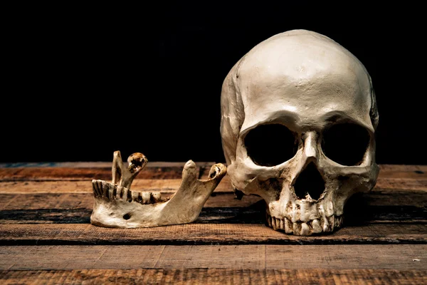 İnsan kafatası eski ahşap zemin üzerine; Natürmort