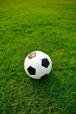 Futbol alanında kadar yakın.