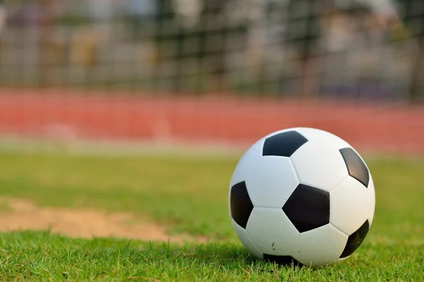 Futbol alanında kadar yakın.