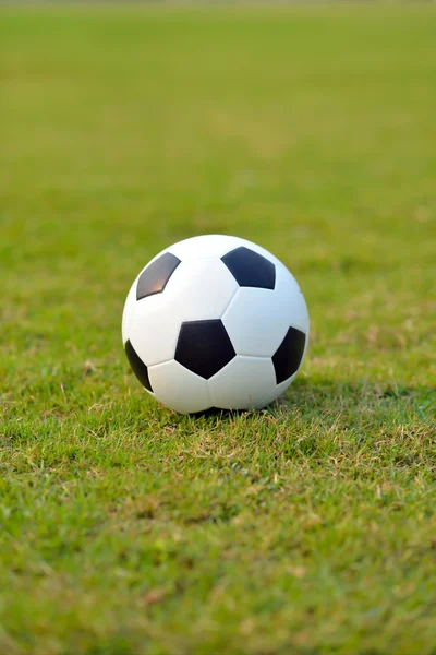 Campo de fútbol Primer plano . — Foto de Stock