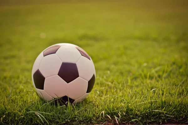 Campo de futebol Close up . Fotos De Bancos De Imagens