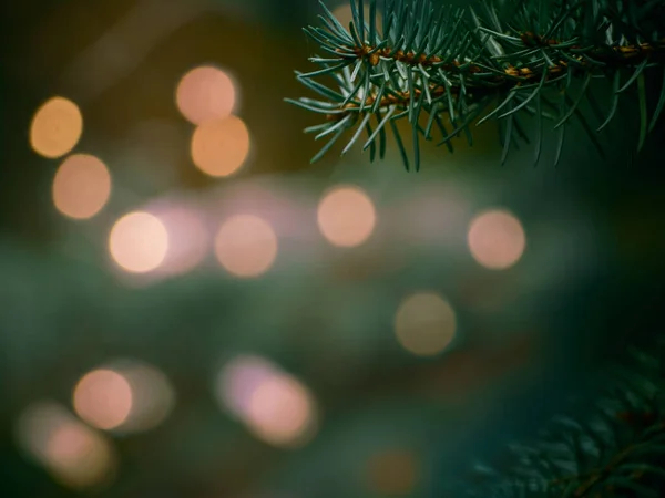 緑のクリスマスツリーの枝と黄色のライトのガーランドはボケでぼやけている — ストック写真