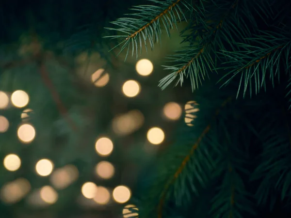 Green Christmas Tree Branch Yellow Lights Garlands Blurred Bokeh — Stock Photo, Image