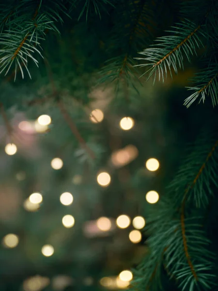 緑のクリスマスツリーの枝と黄色のライトのガーランドはボケでぼやけている — ストック写真