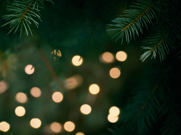 Yeşil Noel ağacı dalı ve sarı ışıklar Bokeh 'te bulanıklaştı