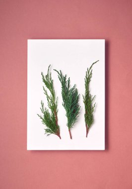 Model Noel tebrik kartı, düz çizgi.