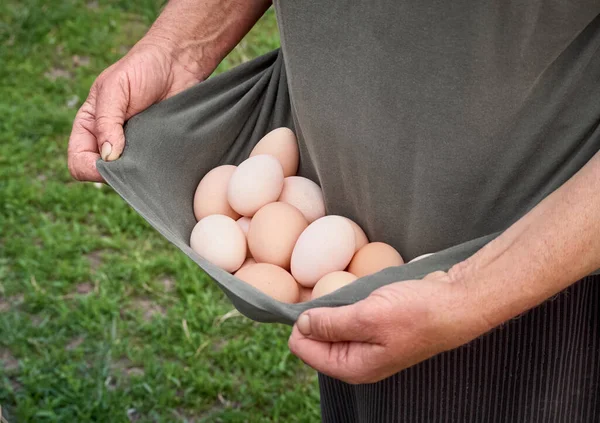 Landwirt Hält Frische Bio Eier — Stockfoto