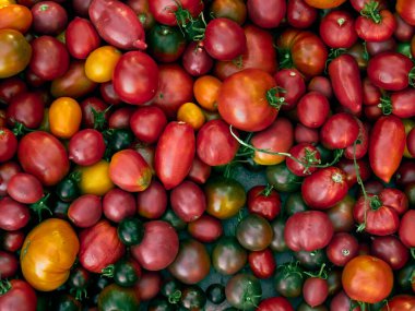 Olgun kırmızı domatesli arka plan..