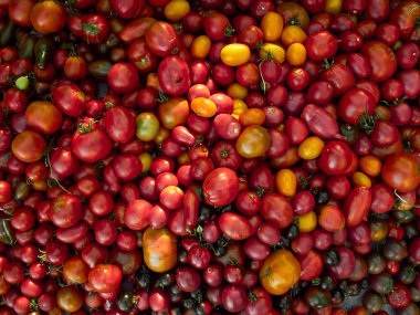 Olgun kırmızı domatesli arka plan..