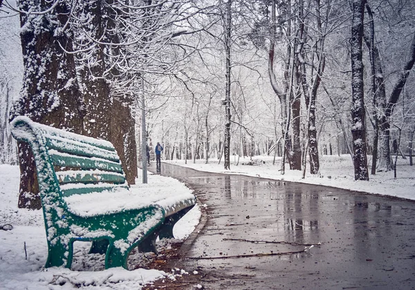 Снежный Зимний Парк Слякотью Дорожке — стоковое фото