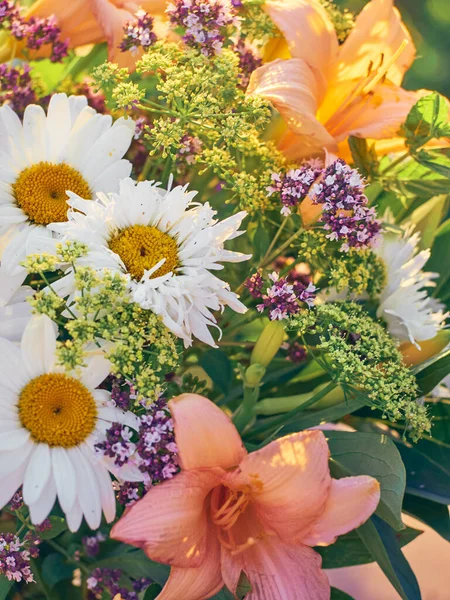 Schöne Bunte Sommer Blume Hintergrund — Stockfoto