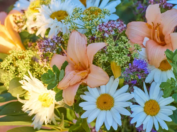 Schöne Bunte Sommer Blume Hintergrund — Stockfoto