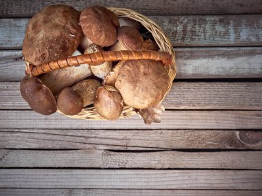 Sepette taze mantarlar.