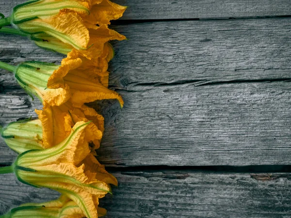 Zucchini Blumen Auf Einem Hölzernen Hintergrund — Stockfoto