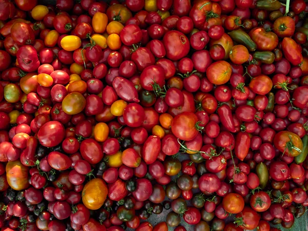 Fondo Con Tomates Rojos Maduros —  Fotos de Stock
