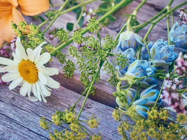 Sommerblumen Auf Dunklem Hintergrund — Stockfoto