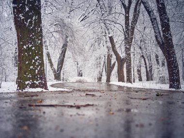 Karlı kış parkında yollarda çamur var.