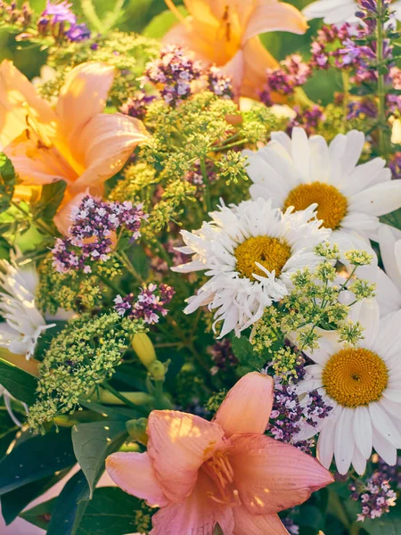 Schöne Bunte Sommer Blume Hintergrund — Stockfoto