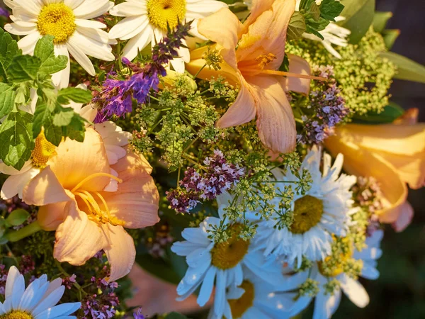 Schöne Bunte Sommer Blume Hintergrund — Stockfoto