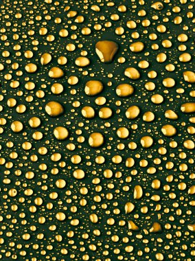 Altın zeminde su damlaları.