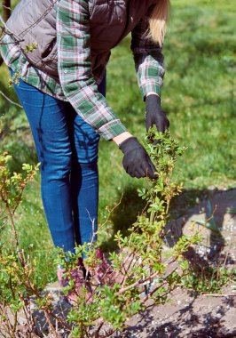 Bahar bahçesinde çalışıyorum..