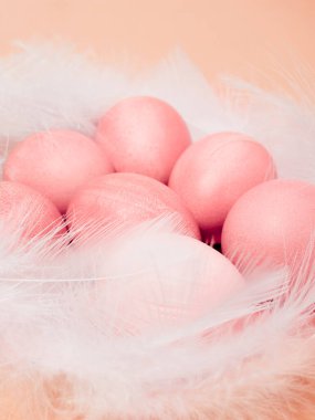 Sarı arka planda Paskalya yumurtası ve tüyleri. Mutlu Paskalyalar.