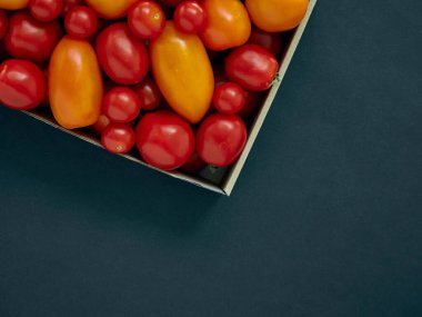 Karton bir kutuda kırmızı ve sarı domatesler. Fotokopi alanı olan koyu bir zemin üzerinde.